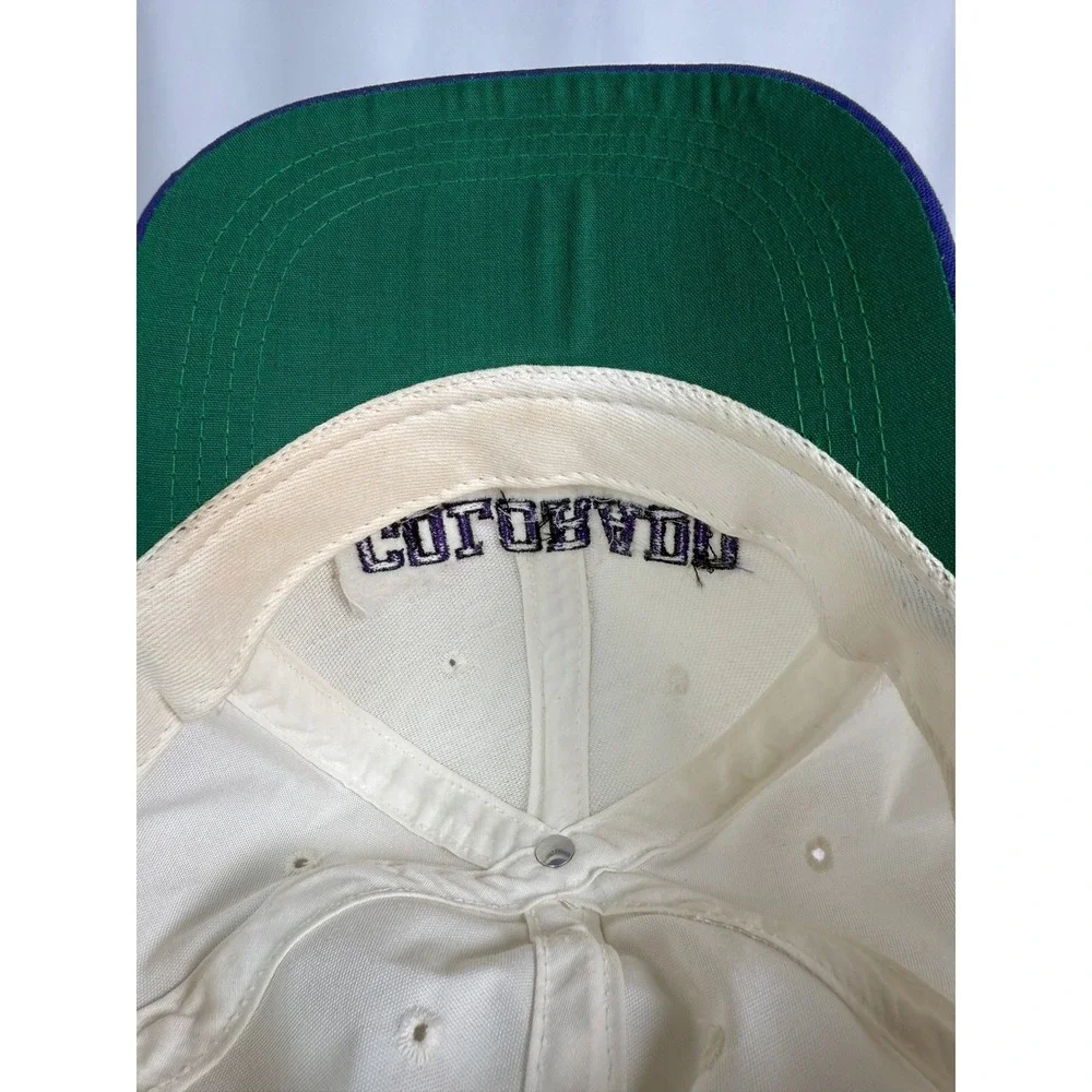 Vintage 1980s Colorado hat Adjustable‎ Strapback made in USA